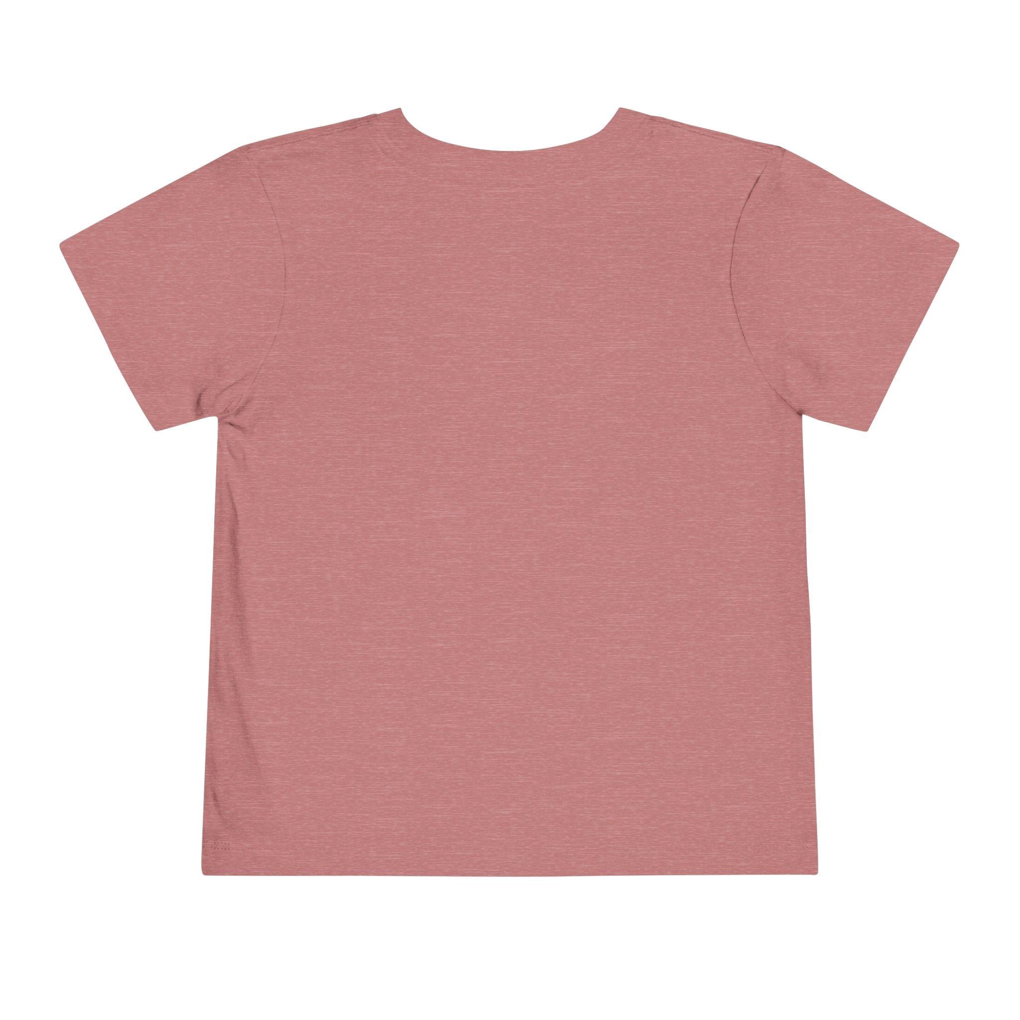 JusKay Toddler Travel Tee