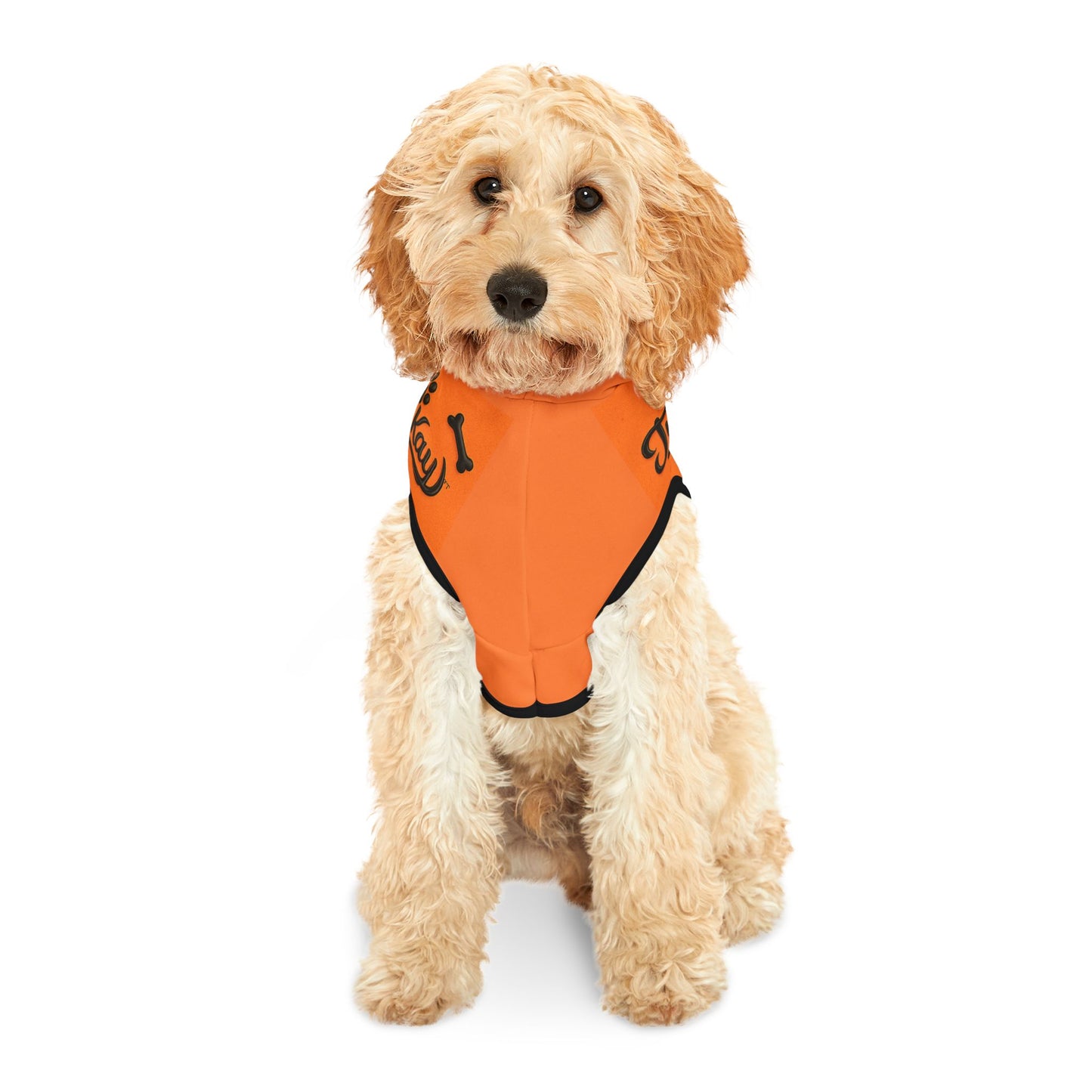 Travel Pet Hoodie | Cute Dog Pullover
