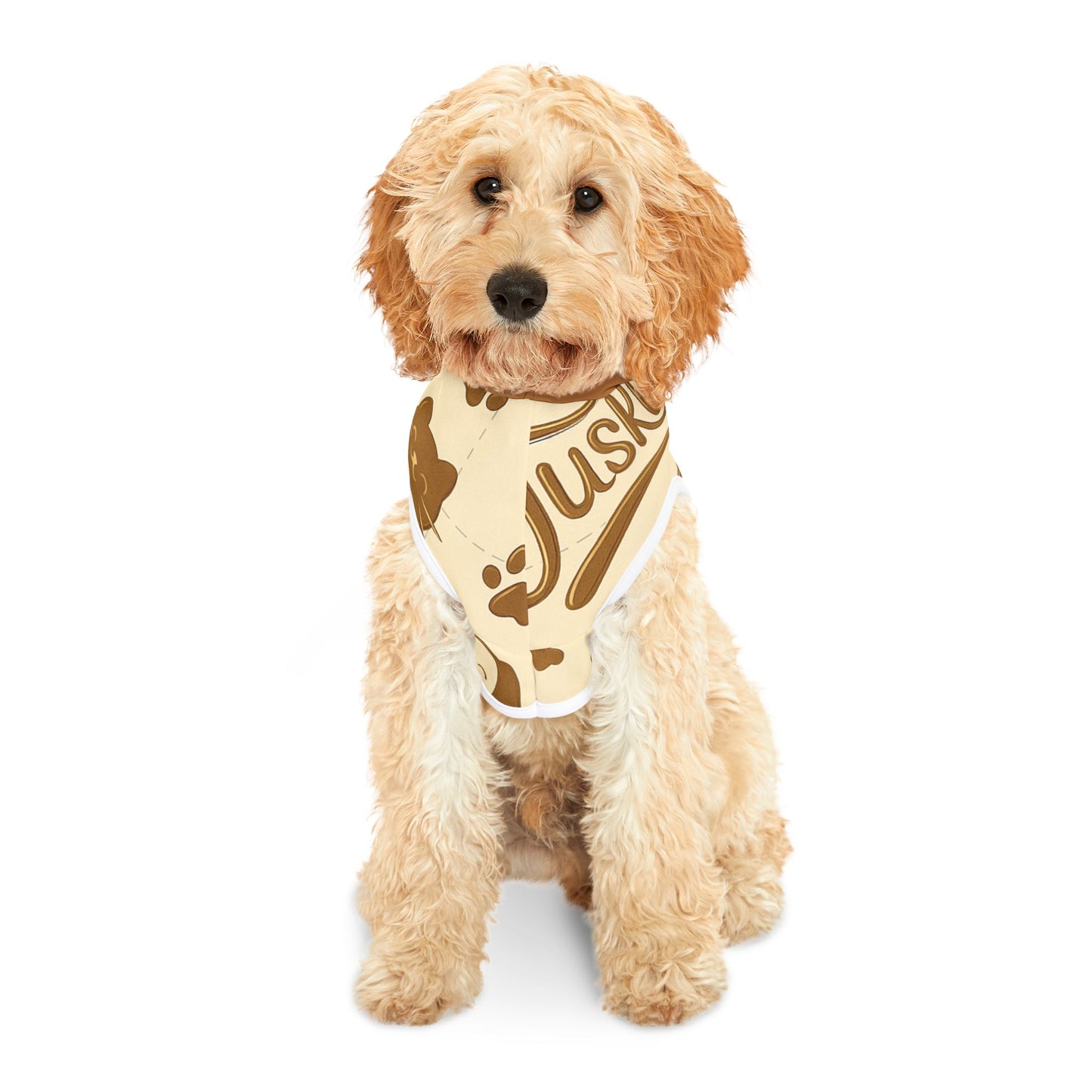 Cozy Travel Pet Hoodie | Cute Dog Pullover