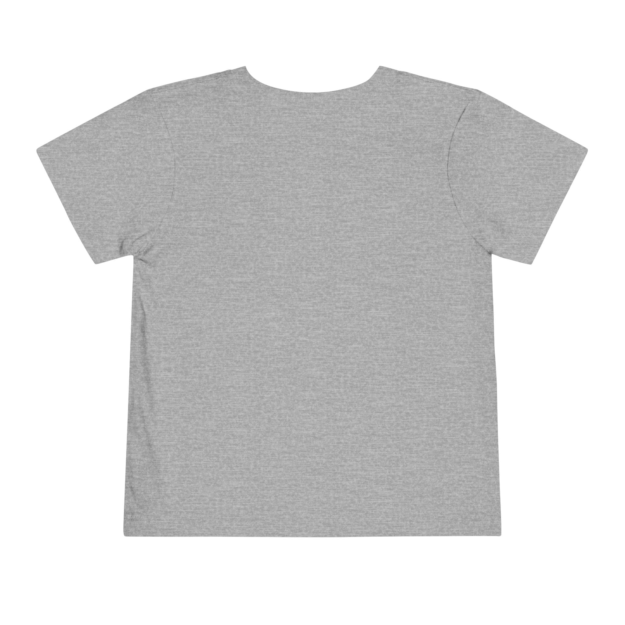 JusKay Toddler Travel Tee