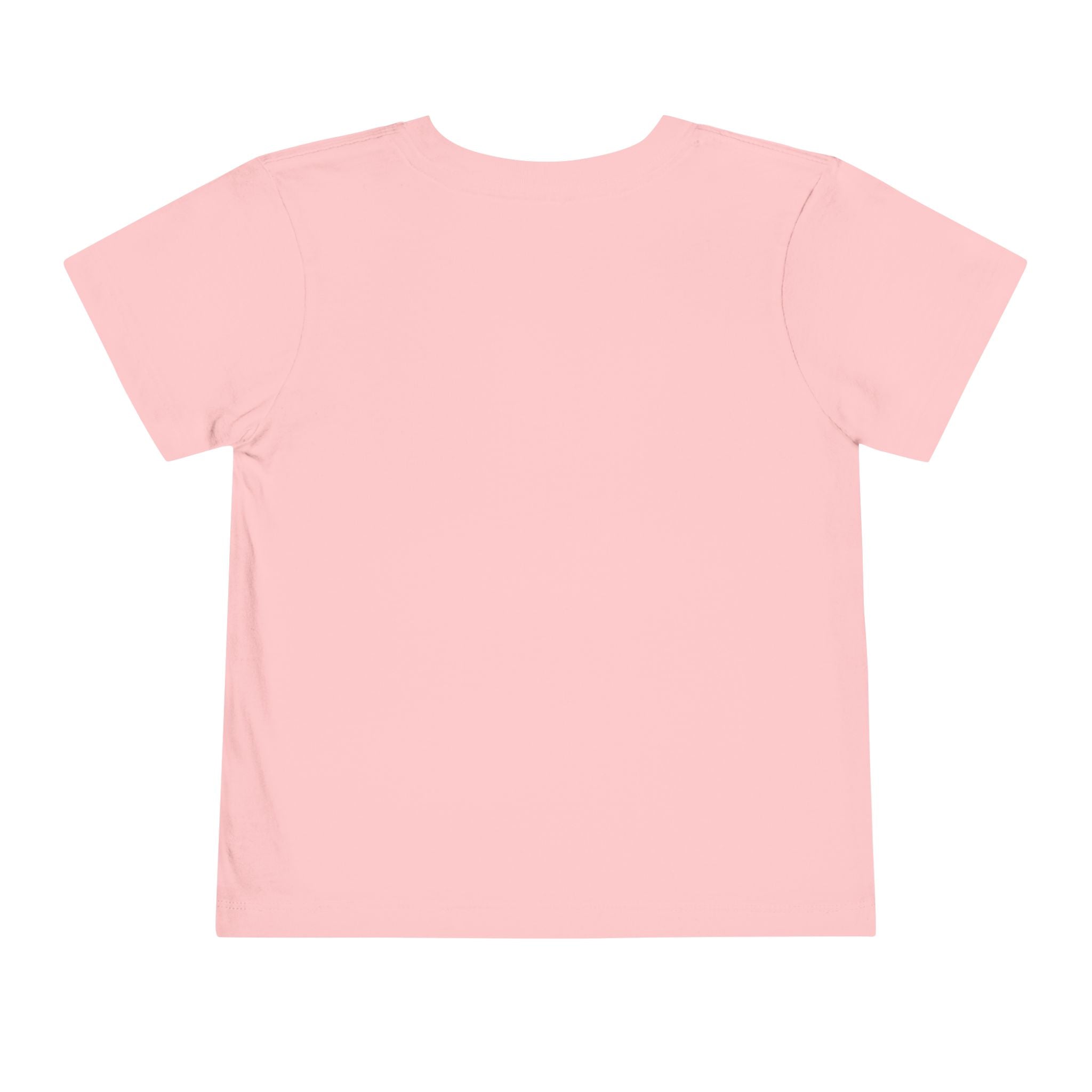 JusKay Toddler Travel Tee